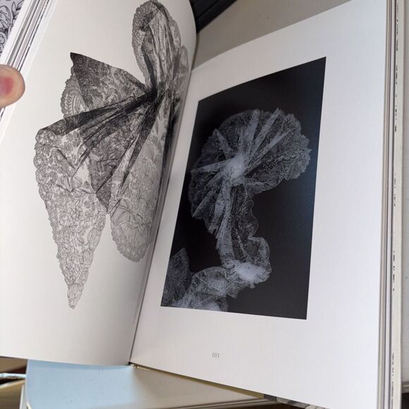 Garden of Lace. Carine Gilson : Carine Gilson by Karen van Godtsenhoven and Wim - Picture 8 of 10